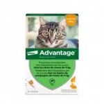Advantage 40 mg Solution spot-on chat et lapin de compagnie de moins de 4 kg - boite de 6 pipettes de 0,4 ml