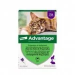 Advantage 80 mg Solution spot-on chat et lapin de compagnie de 4 kg et plus - boite de 4 pipettes de 0,8 ml