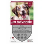 Advantix Solution spot-on chien moyen 10 a 25 kg - boite de 4 pipettes de 2,5 ml