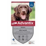 Advantix Solution spot-on grand chien 25 a 40 kg - boite de 6 pipettes de 4 ml