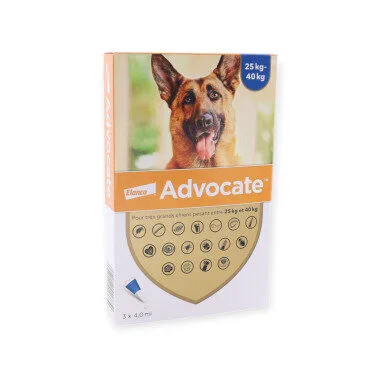 Advocate 400 mg + 100 mg solution spot-on très grand chien de 25 a 40 kg - boite de 3 pipettes de 4 ml