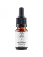 Elixirs and Co Elixir floral Bio Fleurs de Bach n01 Aigremoine (Agrimony) 10 ml