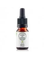 Elixirs and Co Elixir floral Bio Fleurs de Bach n13 Ajonc (Gorse) 10 ml