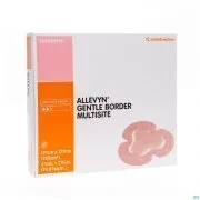 Smith & Nephew Allevyn Gentle Border Multisite (10)