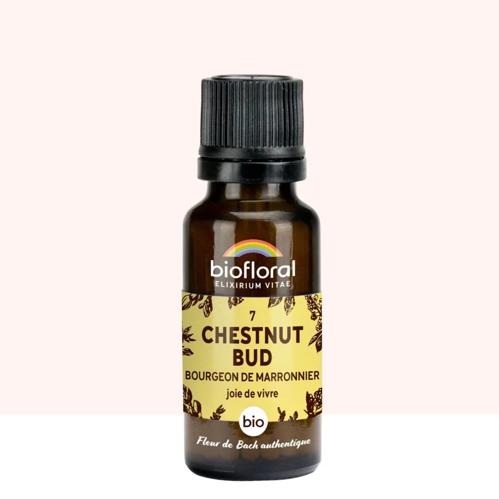Biofloral Fleur de Bach n7 Chestnut Bud (Bourgeons de Marronnier) Bio - granules sans alcool 20 g