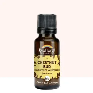 Biofloral Fleur de Bach n7 Chestnut Bud (Bourgeons de Marronnier) Bio - granules sans alcool 20 g