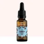 Biofloral Fleur de Bach n19 Larch (Meleze) Bio - elixir floral compte-gouttes 20 ml