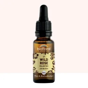 Biofloral Fleur de Bach n37 Wild Rose (Eglantier) Bio - elixir floral compte-gouttes 20 ml