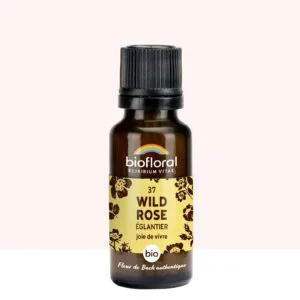 Biofloral Fleur de Bach n37 Wild Rose (Eglantier) Bio - granules sans alcool 20 g