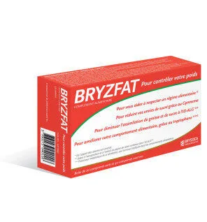 BRYSSICA Bryzfat 60 comprimes (20 jours)
