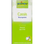 Extraits de plantes Cassis (bourgeons, macerat glycerine) - flacon de 60 ml