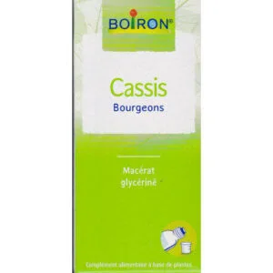 Extraits de plantes Cassis (bourgeons, macerat glycerine) - flacon de 60 ml