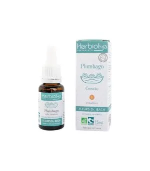 Herbiolys Cerato - Plumbago n°5 - Fleurs Dr Bach Bio - 15 ml