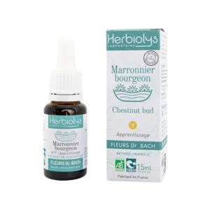 Herbiolys Chestnut Bud - Marronnier bourgeon n°7 - Fleurs Dr Bach Bio - 15 ml