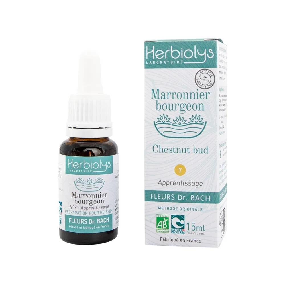 Herbiolys Chestnut Bud - Marronnier bourgeon n°7 - Fleurs Dr Bach Bio - 15 ml