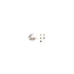 Avene Couvrance creme de teint compacte fini mat 1.0 porcelaine SPF30 10 g