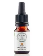 Elixirs and Co Elixir floral Bio Fleurs de Bach n37 Eglantine (Wild Rose) 10 ml
