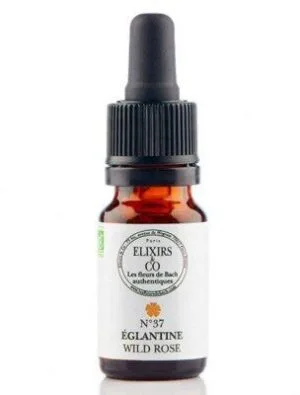 Elixirs and Co Elixir floral Bio Fleurs de Bach n37 Eglantine (Wild Rose) 10 ml