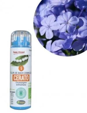 Kosmeo Fleur de Bach N°5 Cerato - Plumbago Bio sans alcool - 130 granules