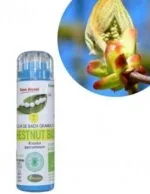 Kosmeo Fleur de Bach N°7 Chestnut Bud - Bourgeons de marronnier Bio sans alcool - 130 granules