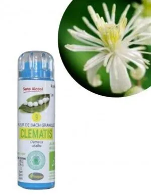 Kosmeo Fleur de Bach N°9 Clematis - Clematite Bio sans alcool - 130 granules
