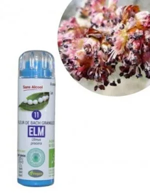 Kosmeo Fleur de Bach N°11 Elm - Orme Bio sans alcool - 130 granules