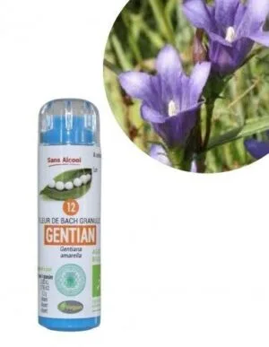 Kosmeo Fleur de Bach N°12 Gentian - Gentiane Bio sans alcool - 130 granules