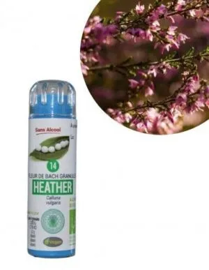 Kosmeo Fleur de Bach N°14 Heather - Bruyere Bio sans alcool - 130 granules