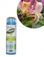 Kosmeo Fleur de Bach N°16 Honeysuckle - Chevrefeuille Bio sans alcool - 130 granules