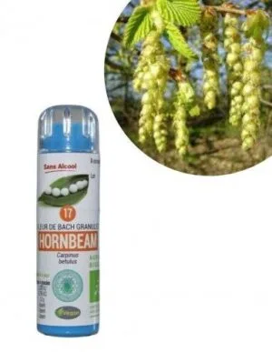 Kosmeo Fleur de Bach N°17 Hornbeam - Charme Bio sans alcool - 130 granules
