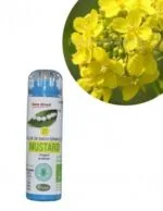 Kosmeo Fleur de Bach N°21 Mustard - Moutarde Bio sans alcool - 130 granules