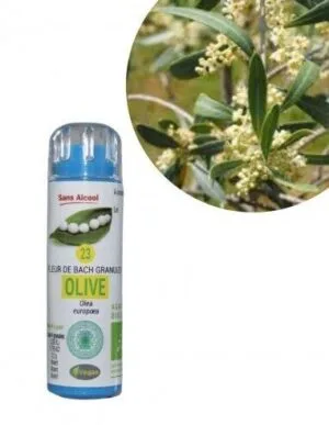 Kosmeo Fleur de Bach N°23 Olive - Olivier Bio sans alcool - 130 granules