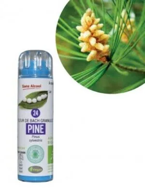 Kosmeo Fleur de Bach N°24 Pine - Pin sylvestre Bio sans alcool - 130 granules