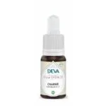 Deva Fleur de Bach Charme - Hornbeam n°17 Bio - compte-gouttes 15 ml