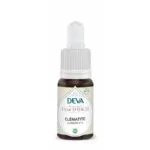 Deva Fleur de Bach Clematite - Clematis n°9 Bio - compte-gouttes 15 ml