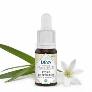Deva Fleur de Bach Etoile de Bethleem - Star of Bethlehem n°29 Bio - compte-gouttes 15 ml