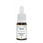 Deva Fleur de Bach Marronnier Rouge - Red Chestnut n°25 Bio - compte-gouttes 15 ml