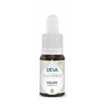 Deva Fleur de Bach Meleze - Larch n°19 Bio - compte-gouttes 15 ml