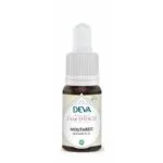 Deva Fleur de Bach Moutarde - Mustard n°21 Bio - compte-gouttes 15 ml
