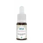 Deva Fleur de Bach Pin Sylvestre - Pine n°24 Bio - compte-gouttes 15 ml