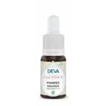 Deva Fleur de Bach Pommier Sauvage - Crab Apple n°10 Bio - compte-gouttes 15 ml