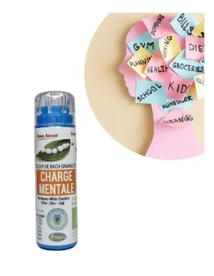Kosmeo Fleurs de Bach Complexe Fatigue - Charge mentale Bio - 130 granules