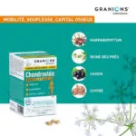 Granions Chondrosteo+ articulations format decouverte 1 mois boite de 90 comprimes