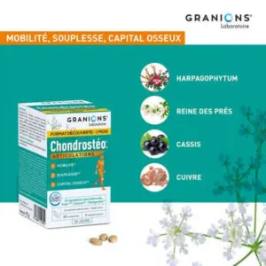 Granions Chondrosteo+ articulations format decouverte 1 mois boite de 90 comprimes