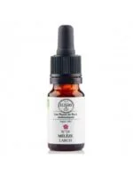 Elixirs and Co Elixir floral Bio Fleurs de Bach n19 Meleze (Larch) 10 ml
