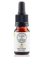 Elixirs and Co Elixir floral Bio Fleurs de Bach n21 Moutarde (Mustard) 10 ml
