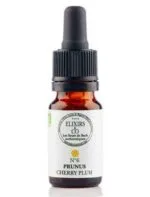 Elixirs and Co Elixir floral Bio Fleurs de Bach n06 Prunus (Cherry Plum) 10 ml