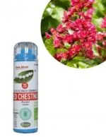 Kosmeo Fleur de Bach N°25 Red Chestnut - Marronnier rouge Bio sans alcool - 130 granules