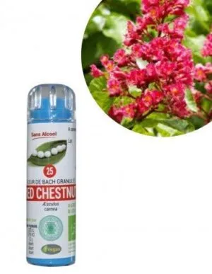 Kosmeo Fleur de Bach N°25 Red Chestnut - Marronnier rouge Bio sans alcool - 130 granules