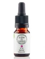 Elixirs and Co Elixir floral Bio Fleurs de Bach n38 Saule (Willow) 10 ml